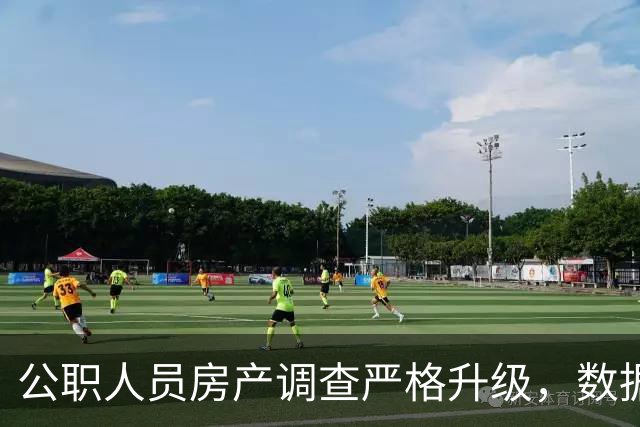 公职人员房产调查严格升级，数据追溯无处可逃